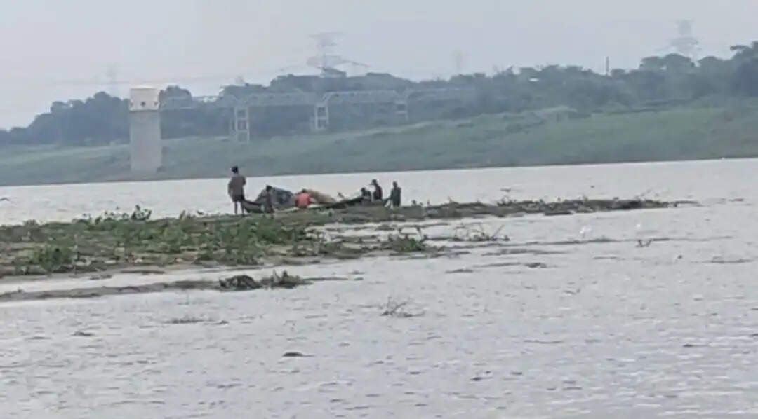 प्रजनन काल में भी यमुना में मछलियों का शिकार, दूषित पानी बना मछली प्रजातियों के लिए संकट