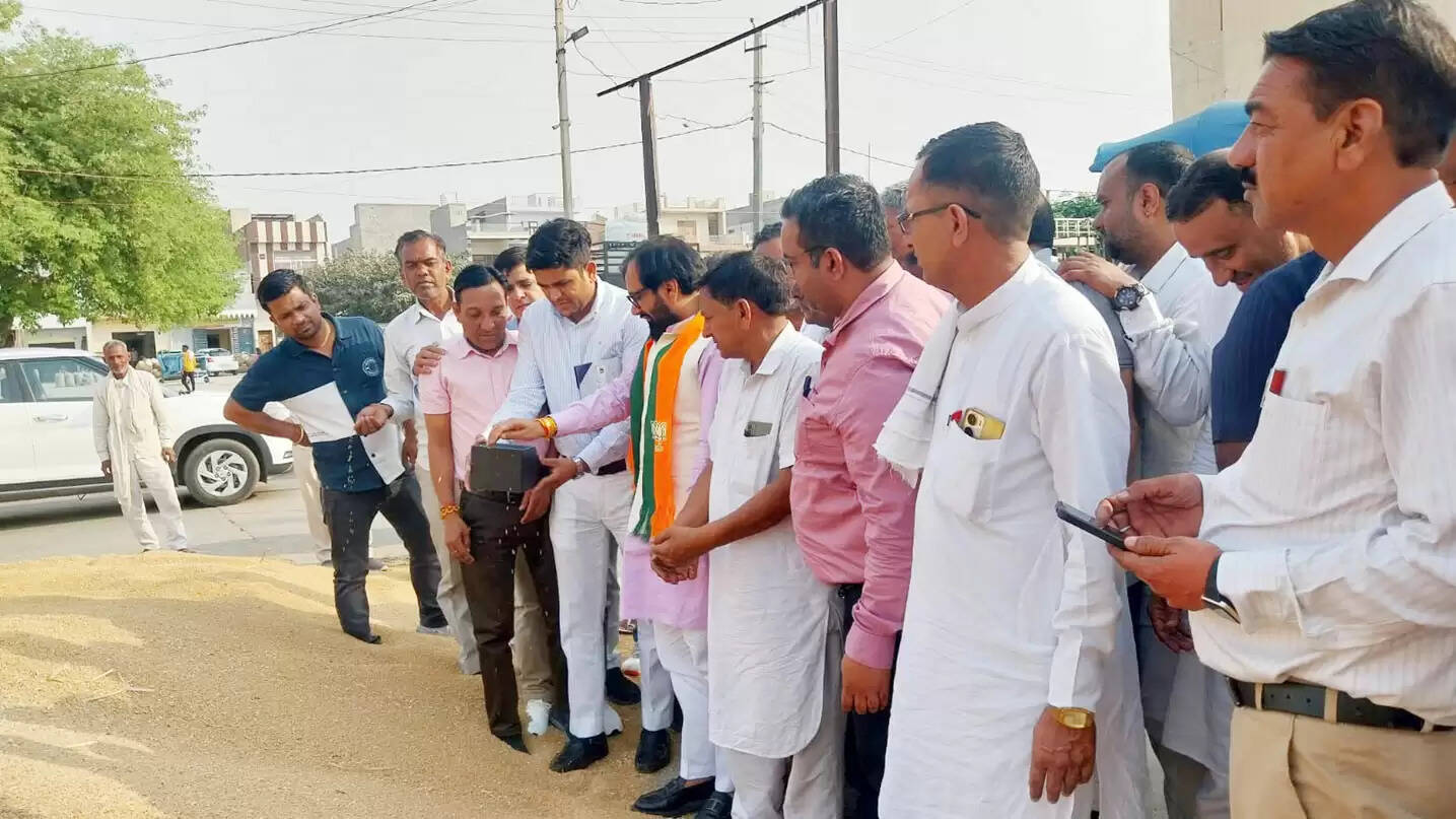 उचाना अनाज मंडी में विधायक देवेंद्र अत्री ने करवाई गेहूं की खरीद शुरू