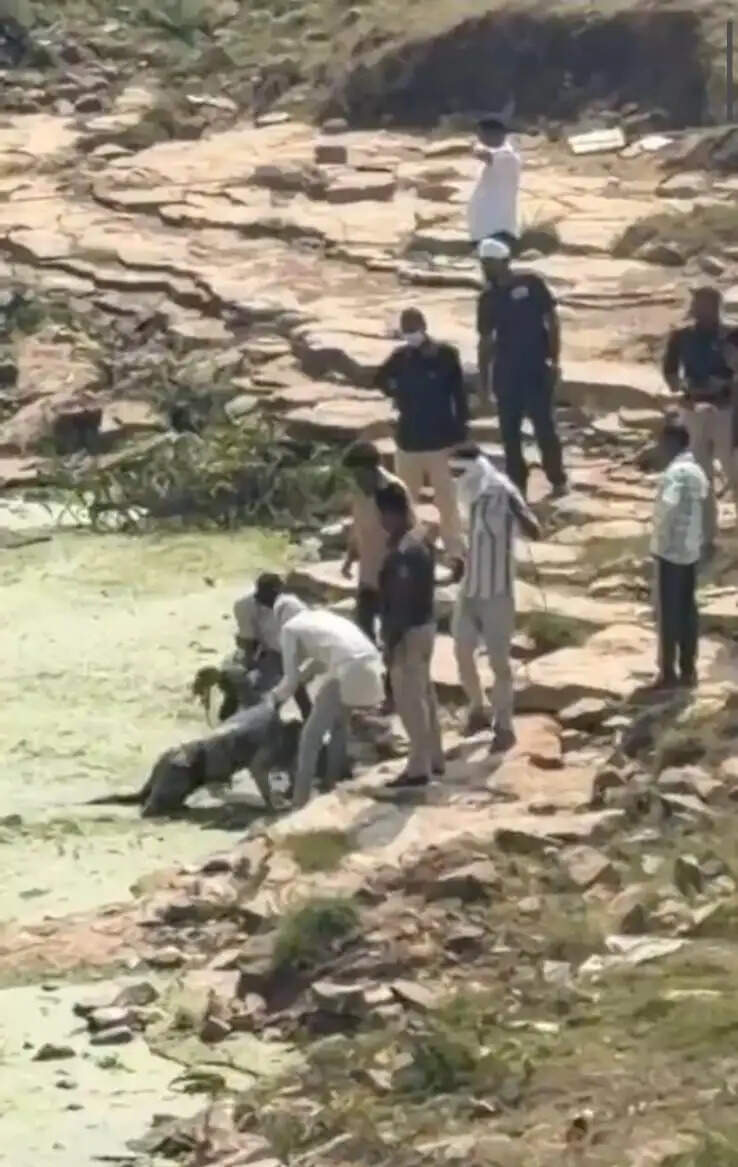 श्योपुरः सीप नदी में तैरती मिली 35 वर्षीय युवक की लाश