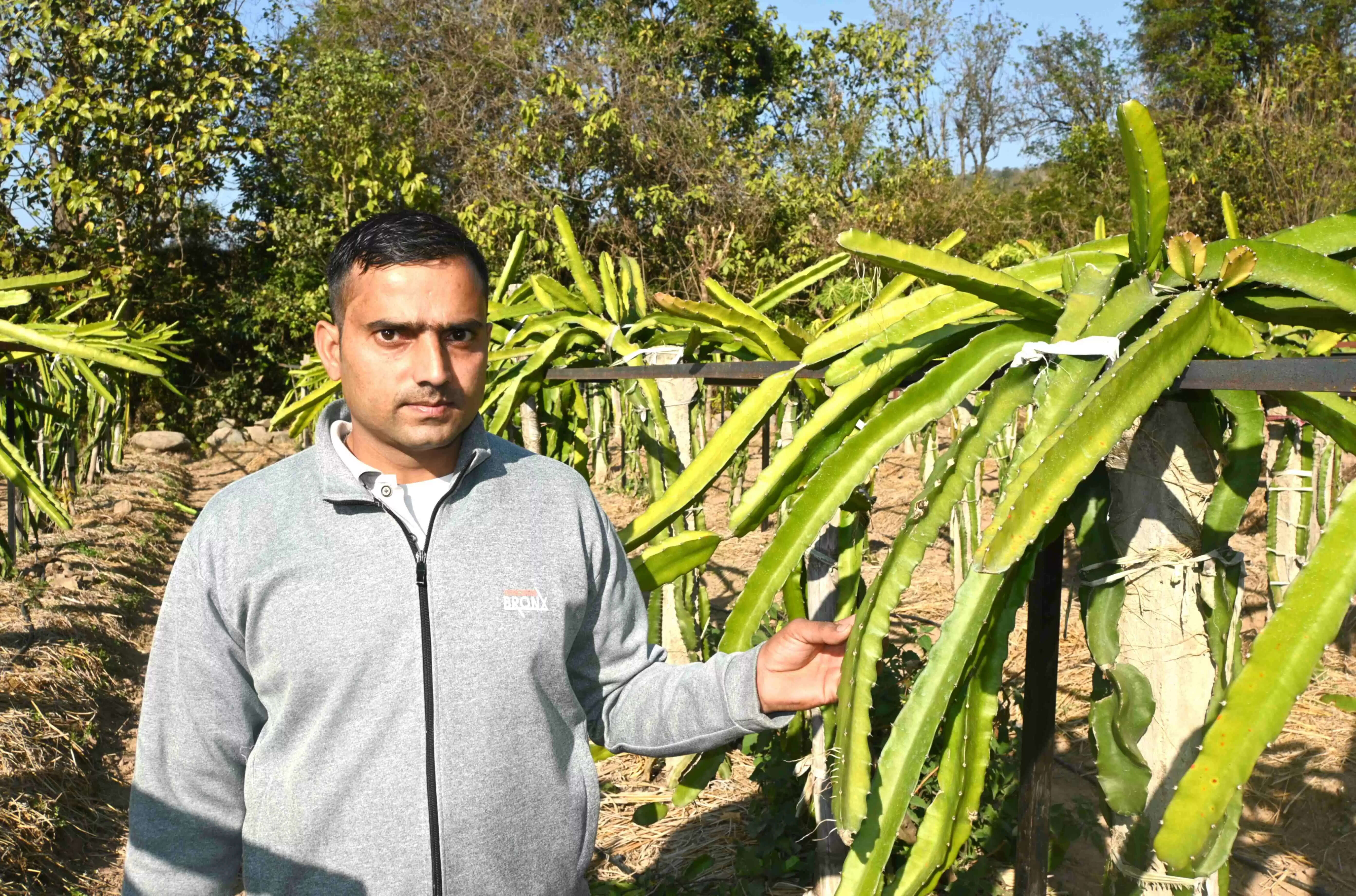 सफलता की कहानीः ड्रैगन फ्रूट की सफल खेती से क्षेत्र में मिसाल बने जुकैण के प्रेम चंद