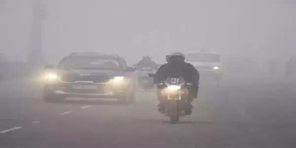 मध्‍य प्रदेश में शीतलहर और कोहरे का डबल अटैक, आज 13 जिलों में अलर्ट, पारा 5 डिग्री से नीचे