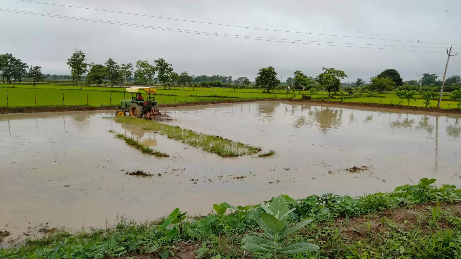 अंचल के खेत-खलिहान हुए लबालब, किसान बारिश थमने का कर रहे इंतजार