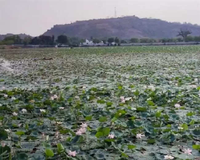 डल झील से कम नहीं है सप्त सरोवरों का अद्भुत संगम, बुंदेलखंड का कश्मीर है चरखारी