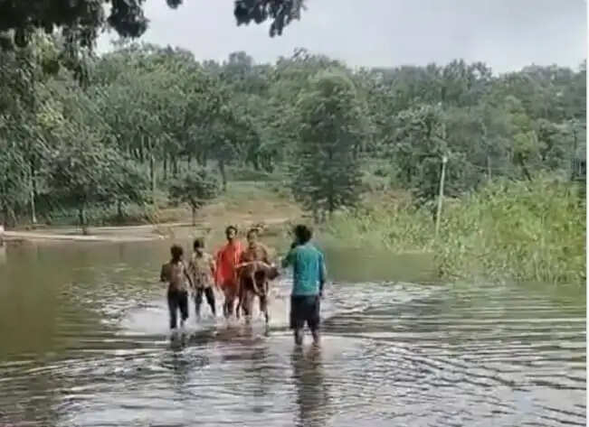 अनूपपुर: अमरकंटक के गायत्री सरोवर बांध में नहाते समय दलदल में फंसा पैर 10 वर्षीय किशोर की मौत