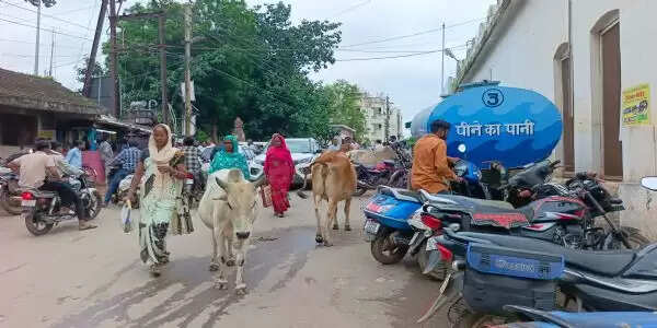 धमतरी:सड़क में दिखे मवेशी तो मवेशी मालिकों पर सजा एवं जुर्माना