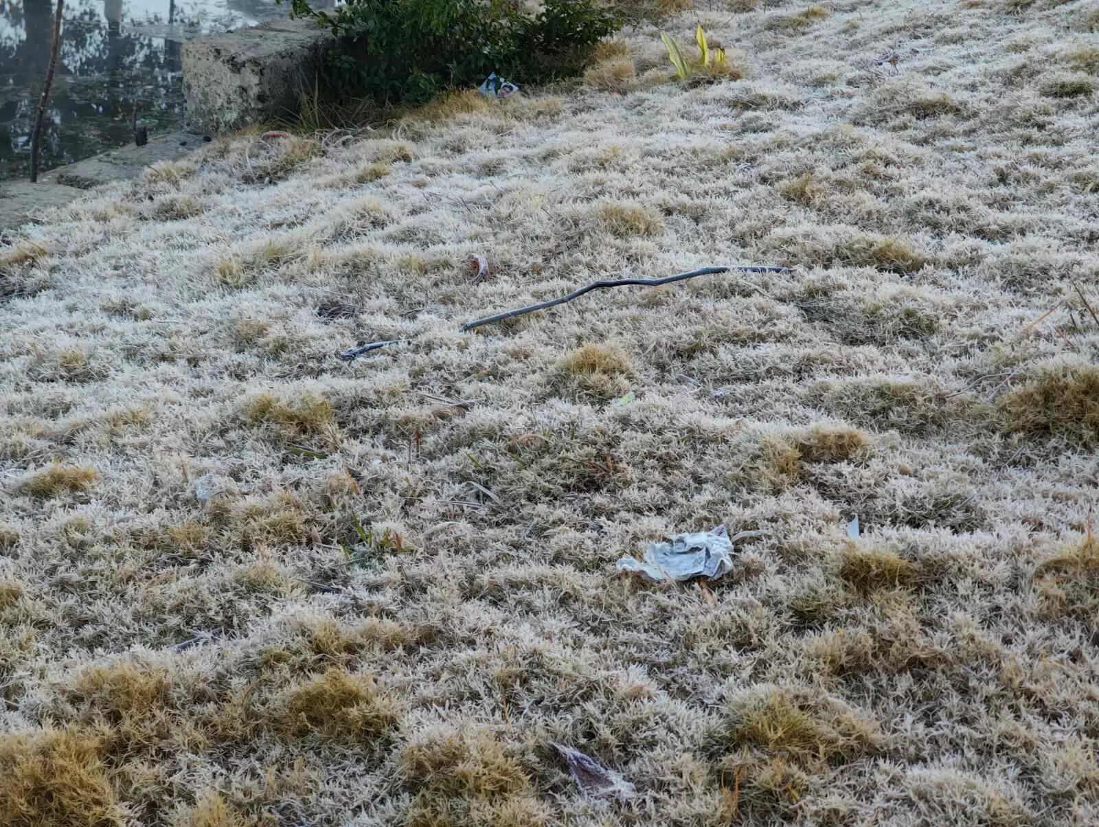 अनूपपुर: जिले में शीतलहर का प्रकोप, दोपहर बाद हुए सूर्य भगवान के दर्शन