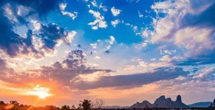 विंध्य में कम बारिश से धान की खेती प्रभावित, दलहन-तिलहन फसलों की ओर बढ़ा किसानों का रुझान