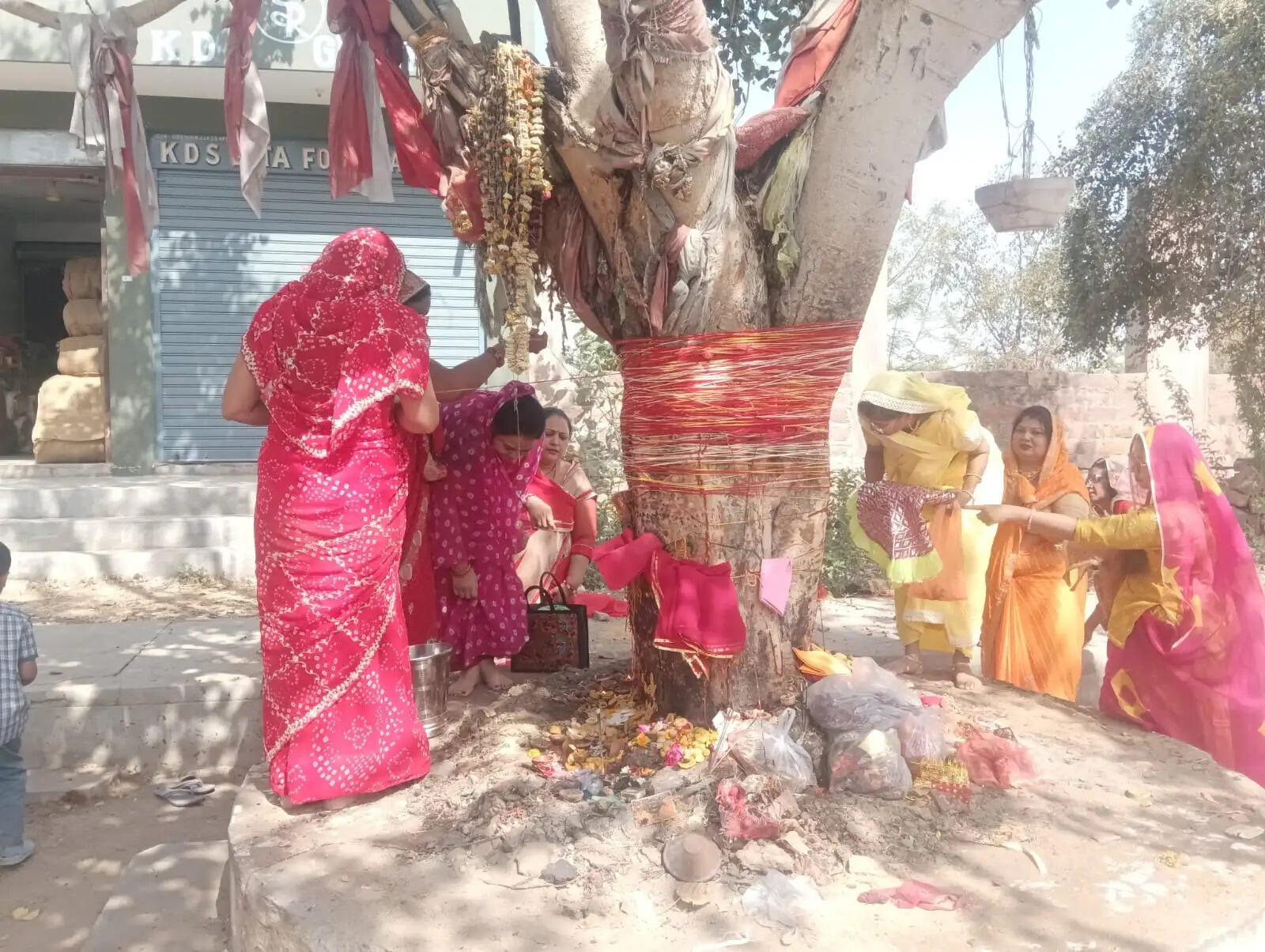 परंपरानुसार मनाया दशा माता का पर्व