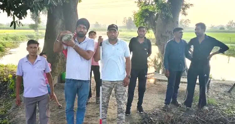 तालाब के पास पहुंचा मगरमच्छ, वन विभाग की टीम ने किया रेस्क्यू