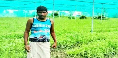 शासकीय योजना और तकनीकी मार्गदर्शन से बहोरन ने अपनाई आधुनिक उद्यानिकी खेती