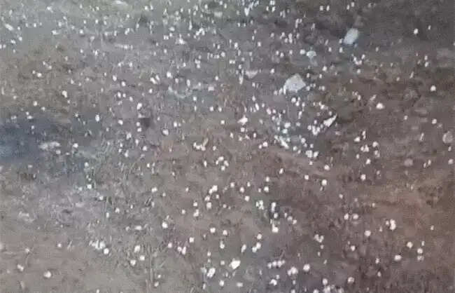 रेवाड़ी में तेज गरज के साथ ओलावृष्टि, किसानों को सावधानी बरतने की सलाह