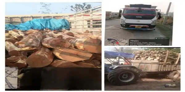 कठुआ पुलिस की बड़ी कार्रवाई-35 क्विंटल खैर लकड़ी बरामद, 3 वाहन जब्त