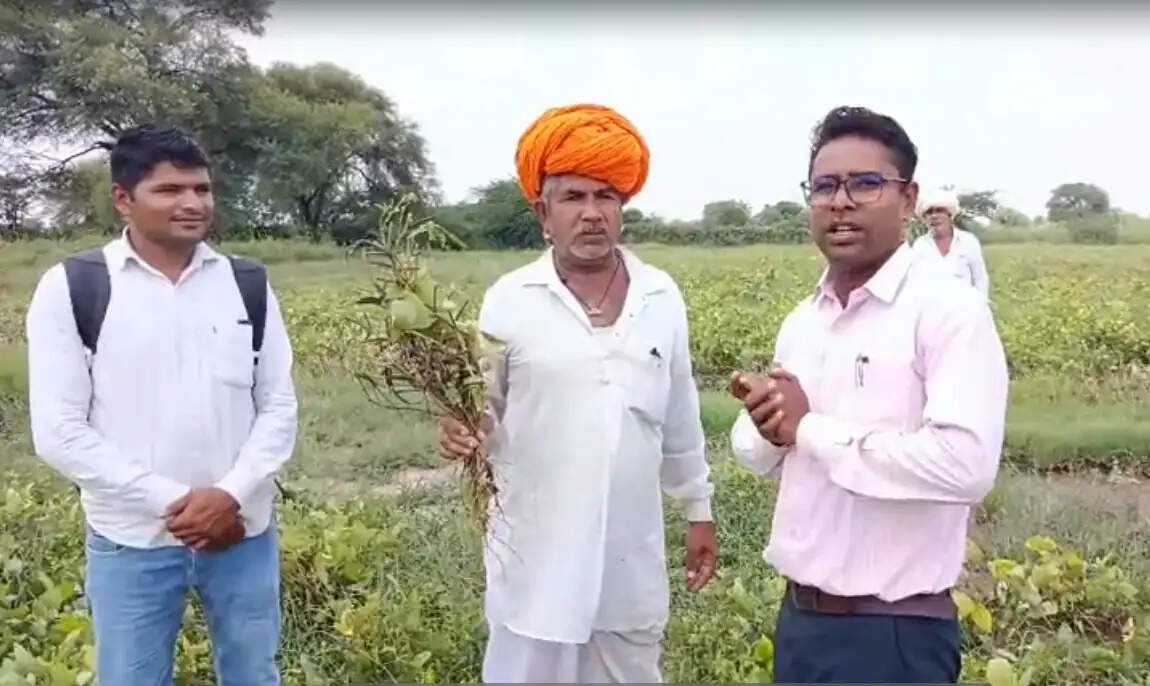 कृषि विश्वविद्यालय : कृषकों को दी उड़द की उन्नत खेती की जानकारी