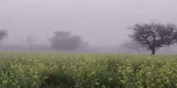 राजस्थान में घना कोहरा और कड़ाके की सर्दी, कोटा-झालावाड़ हाईवे पर बस पलटी, 30 से ज्यादा घायल