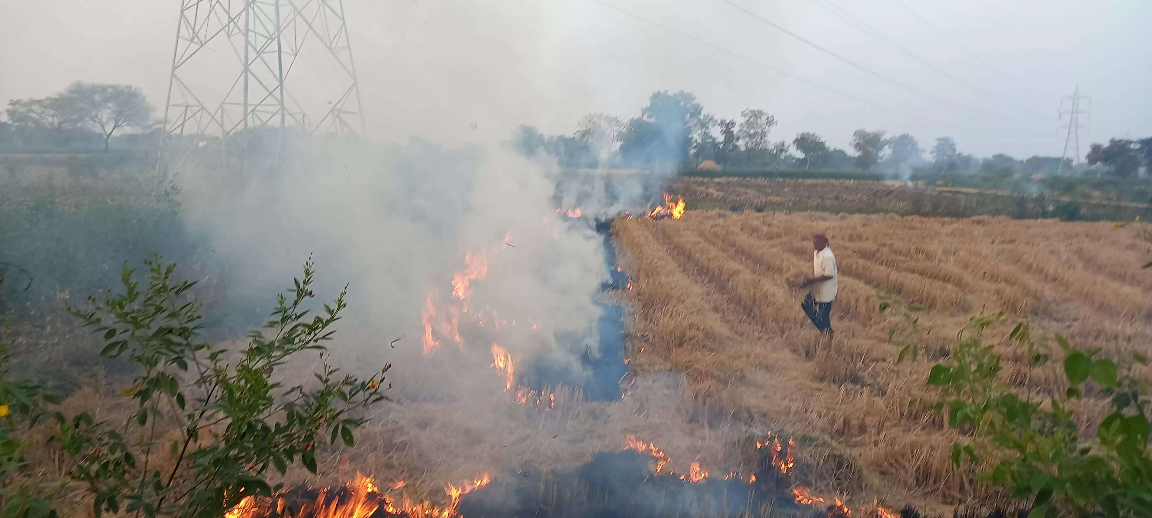 खेतों में पराली जलाने हो रहा वायु प्रदूषण, प्रशासन की रोक बेअसर