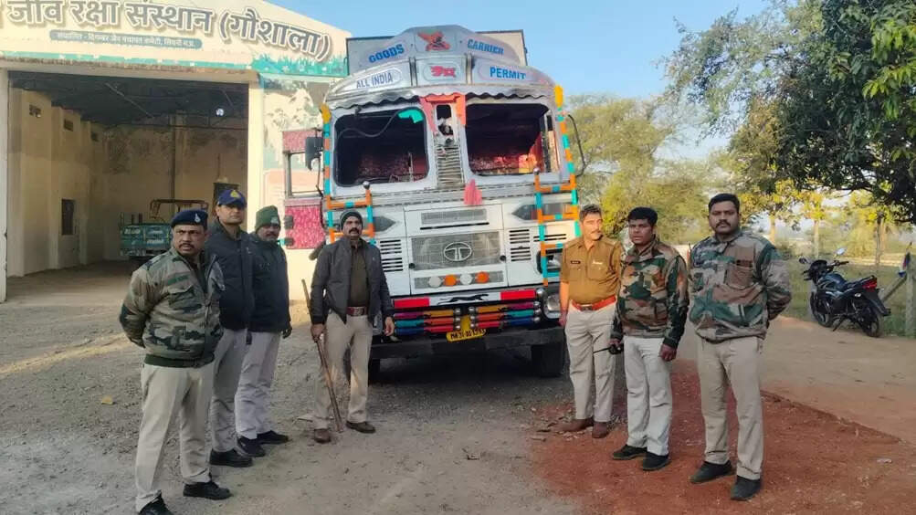 मप्र पुलिस की गौवंश तस्करी पर सख्त कार्रवाई, इस माह अब तक 96 गौवंश और 38 अन्य पशु कराए मुक्त