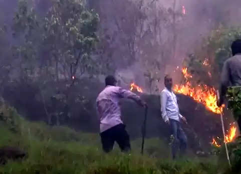 चिंगस ब्लॉक और कई अन्य वन क्षेत्रों में जंगल में लगी आग, सामान्य जीवन बाधित