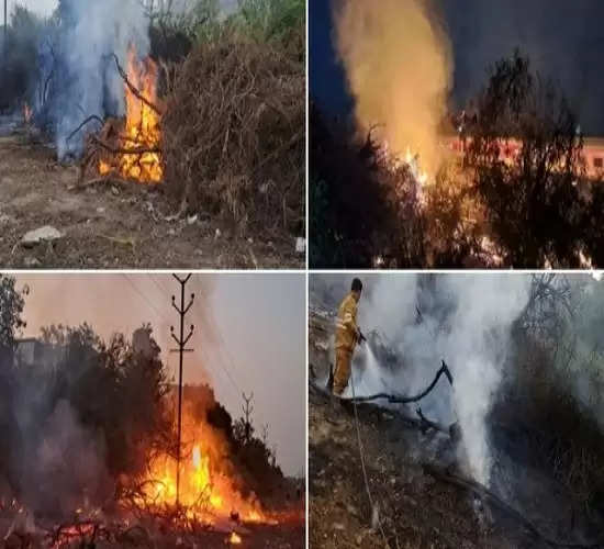 कानपुर: रेलवे ट्रैक के किनारे झाड़ियों में लगी भीषण आग