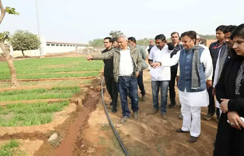 अमित शाह 25 दिसंबर को रीवा प्रवास पर, बसामन मामा गौअभ्यारण्य का करेंगे दौरा