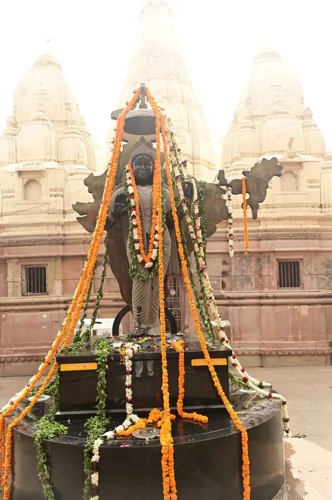 स्वतंत्रता दिवस पर काशी विश्वनाथ धाम में भक्ति, आस्था और राष्ट्रप्रेम का अनूठा संगम