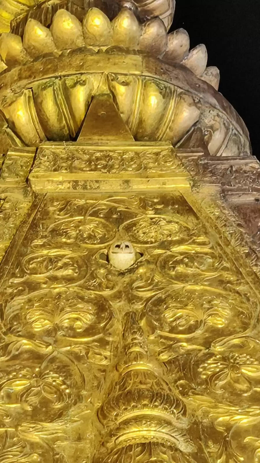 बाबा विश्वनाथ की सप्त ऋषि आरती में सफेद उल्लू भी लगाता है हाजिरी, स्वर्ण शिखर पर रहता है विराजमान