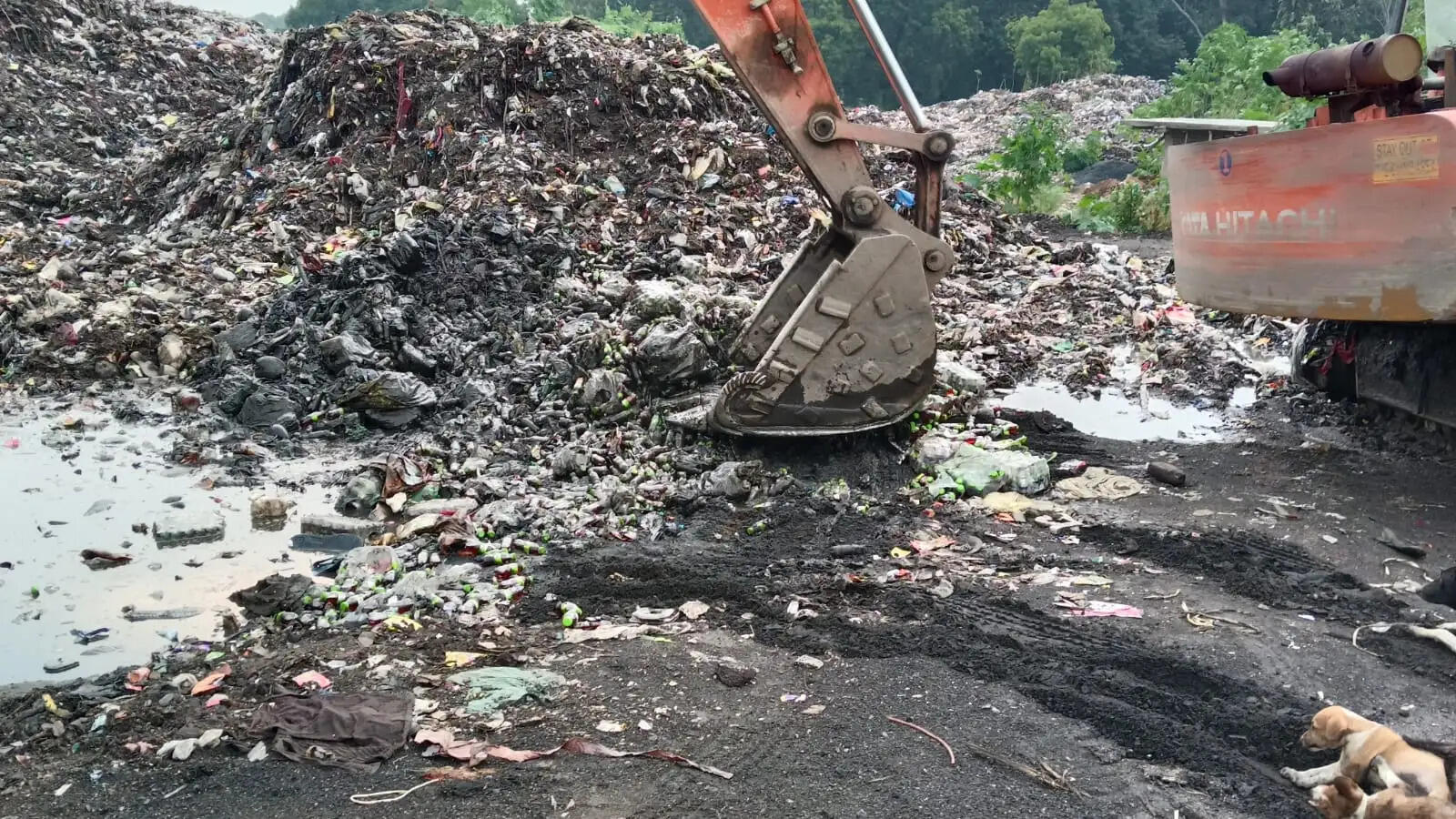 फैमिली मार्ट से जब्त 10 हजार एक्सपायरी कोल्ड ड्रिंक बोटल नष्ट