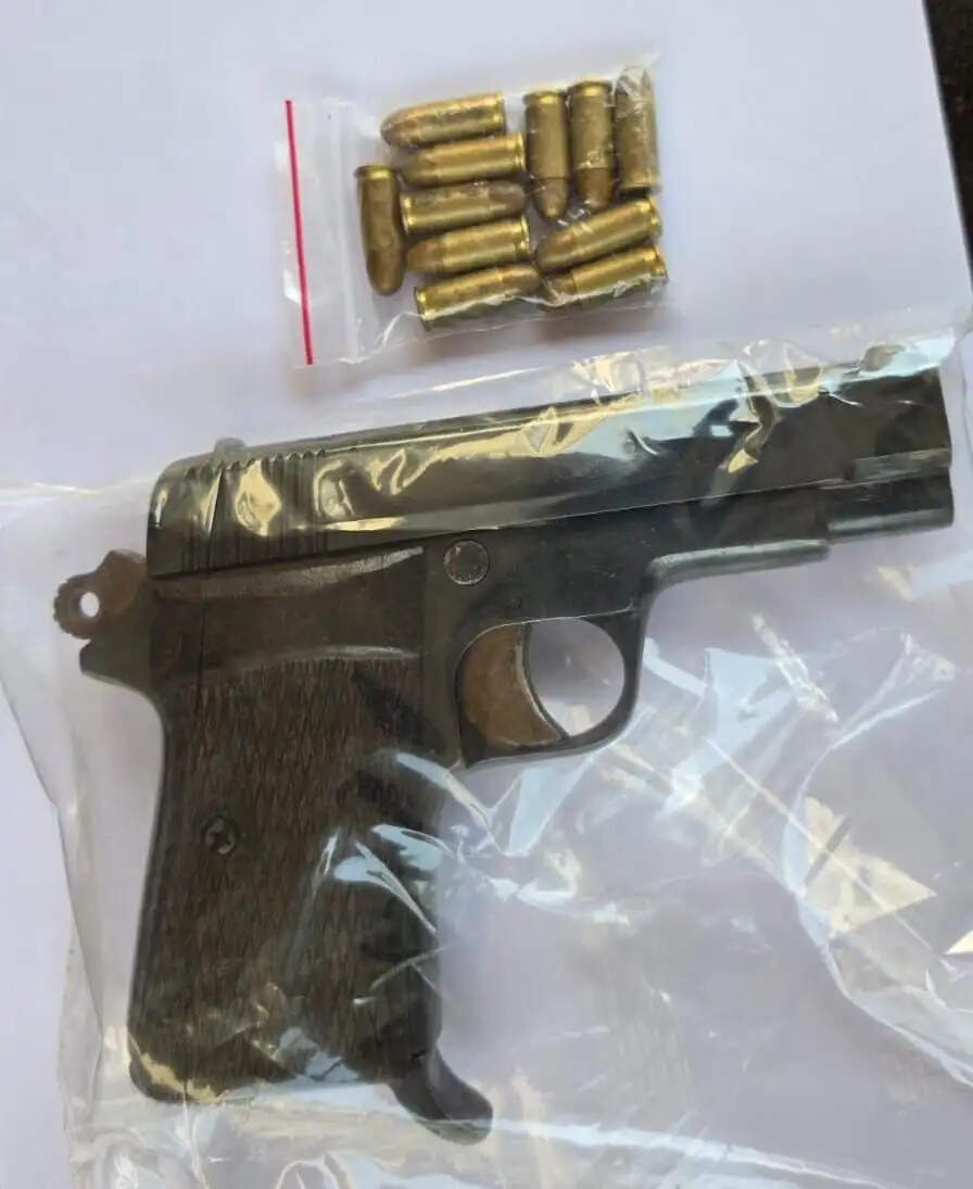 पिस्टल व जिंदा कारतूस के साथ हिस्ट्रीशीटर युवक गिरफ्तार