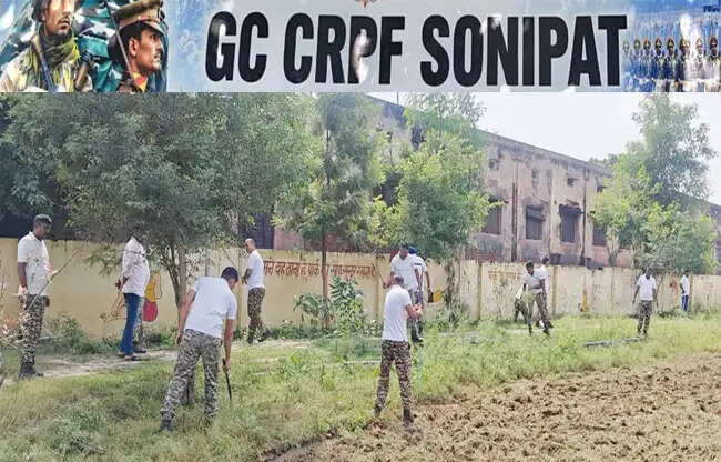 सोनीपत: सीआरपीएफ जवानों संग डीआईजी ने गांव में 251 पौधे रोपे