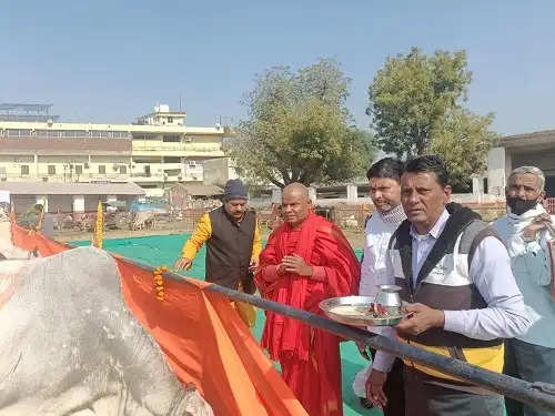 हजारों भक्तों ने गोवंश की सेवा कर किया दान पुण्य