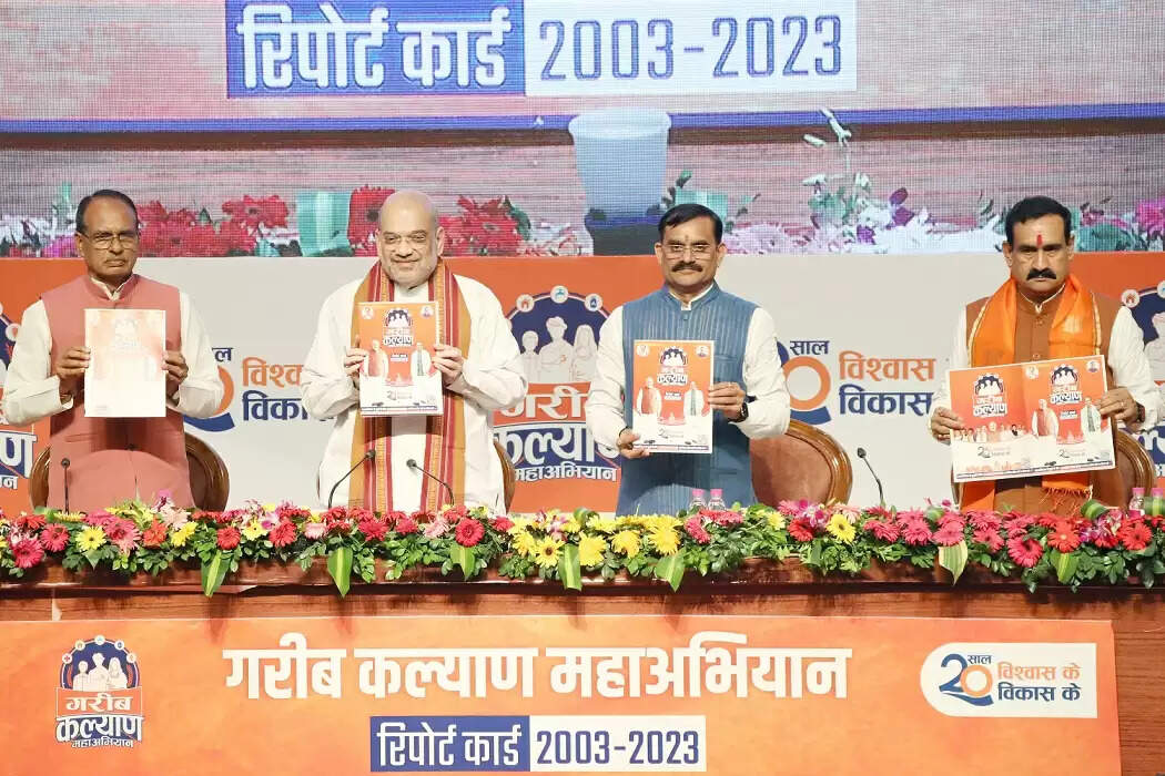 बीस वर्षों में भाजपा सरकार ने मध्य प्रदेश को बनाया बेमिसाल राज्यः अमित शाह