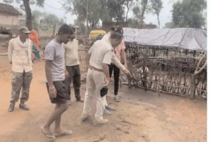 सतना के शिवसागर गांव में तेंदुए का हमला, बाड़े में घुसकर नौ भेड़ों को मार डाला
