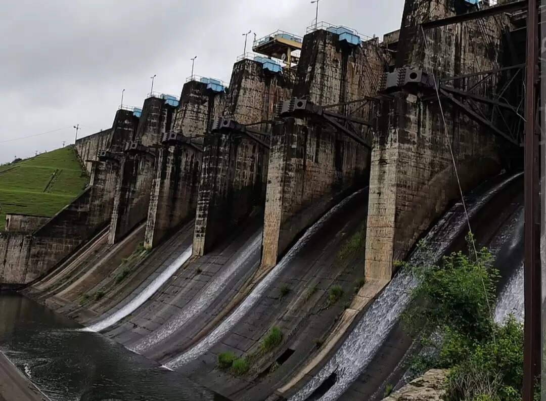 रांची में भारी बारिश से नदी-नाले उफान पर, रुक्का और गोंडा डैम का खुला फाटक