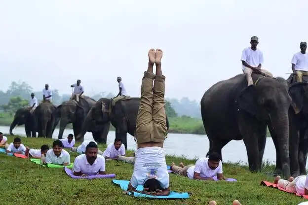 देश के 780 जिलों में 3 करोड़ से ज्यादा लोगों ने किया योग