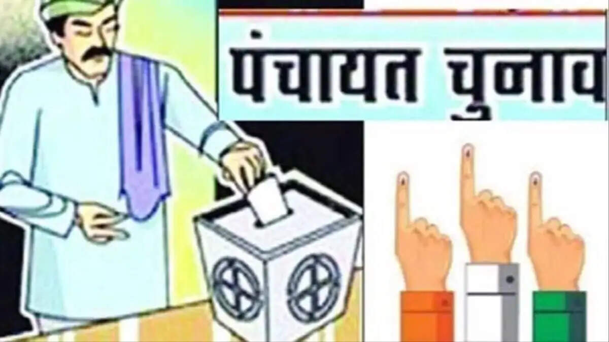 जिले की 1163 ग्राम पंचायतों में 15 जुलाई को होंगे उप प्रधान पद के चुनाव