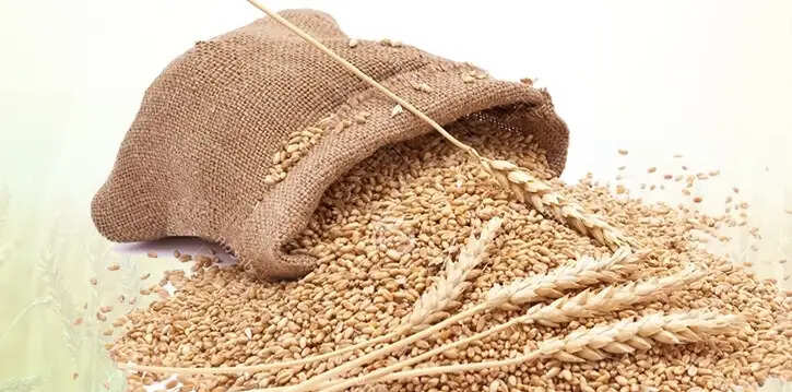 यूपी में रविवार को भी जारी रही किसानों से गेहूं खरीद