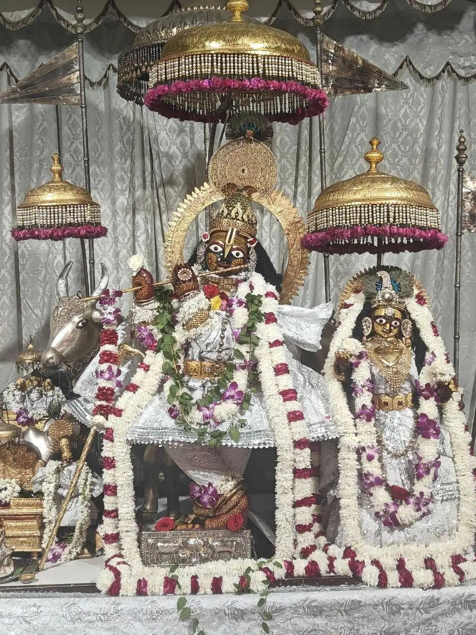 श्वेत जरी-गोटे की पोशाक में सजे ठाकुरजी: खीर का विशेष भोग लगाया