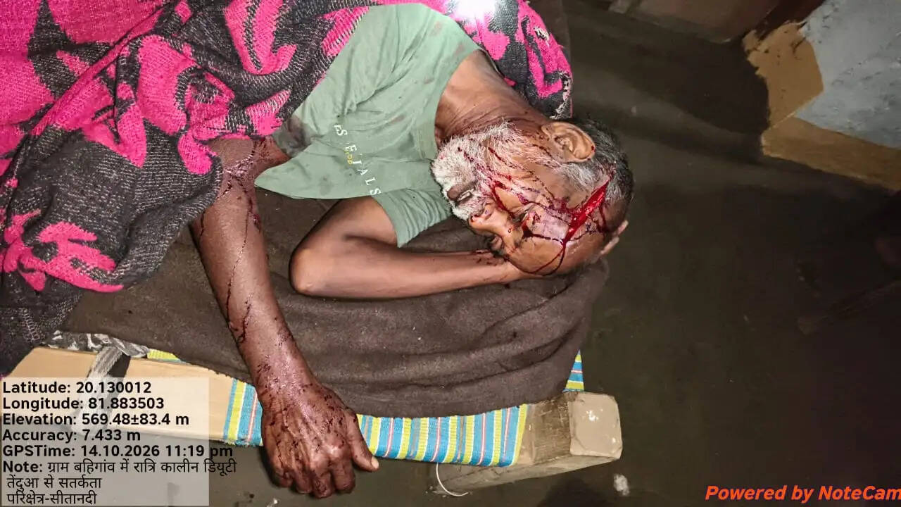 बैल का शिकार करने गांव पहुंचा तेंदुआ, हमले में मेहमान और पड़ोसी सहित तीन घायल