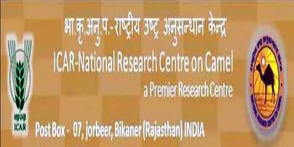 ऊंट प्रजाति को 'कैमल इको-टूरिज्म' के रूप में बढ़ावा देने के लिए होगा प्रदर्शनी का आयोजन