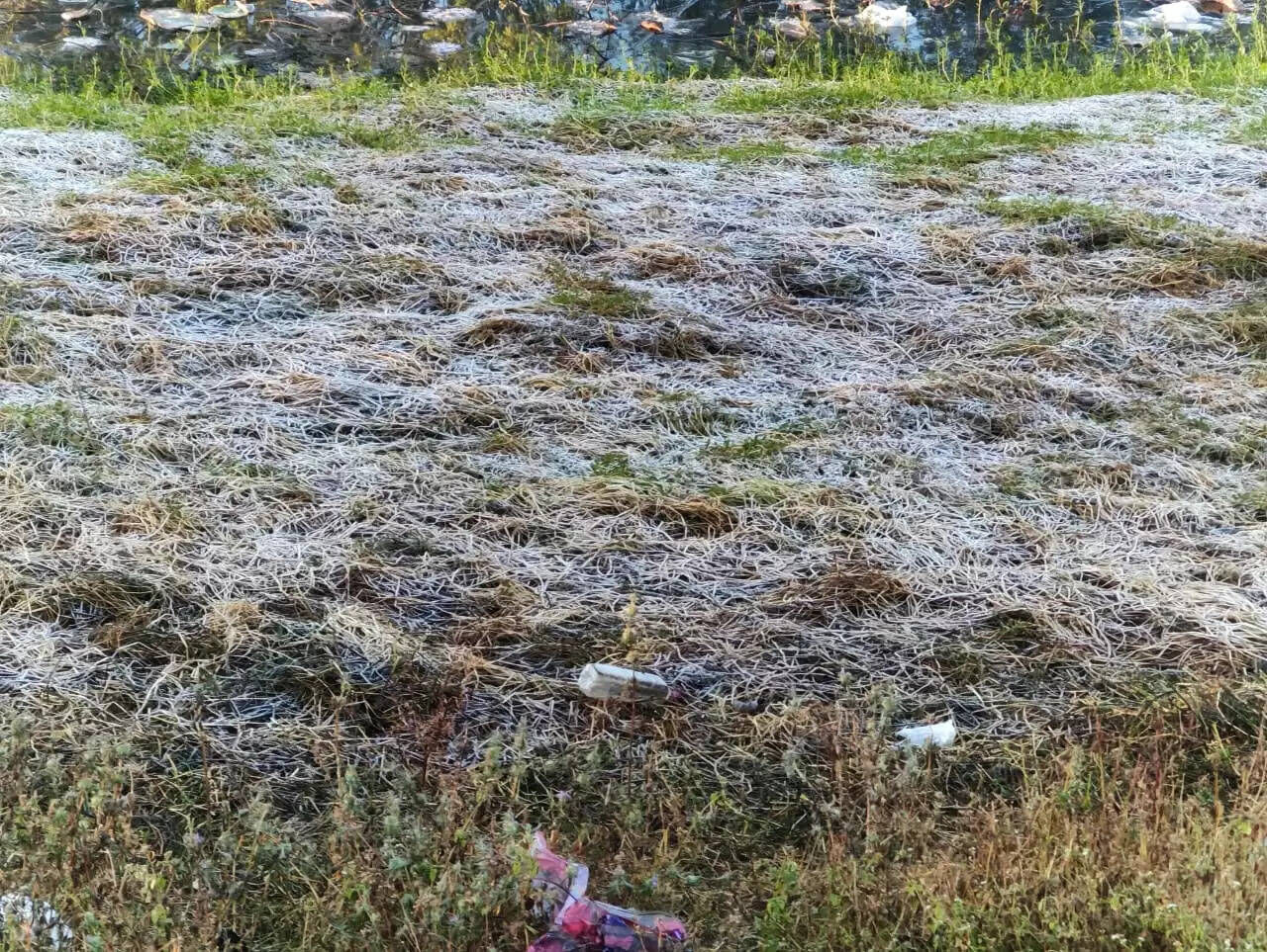 अनूपपुर: सर्दी का थर्ड डिग्री, अमरकंटक में बि‍छी बर्फ की सफेद चादर