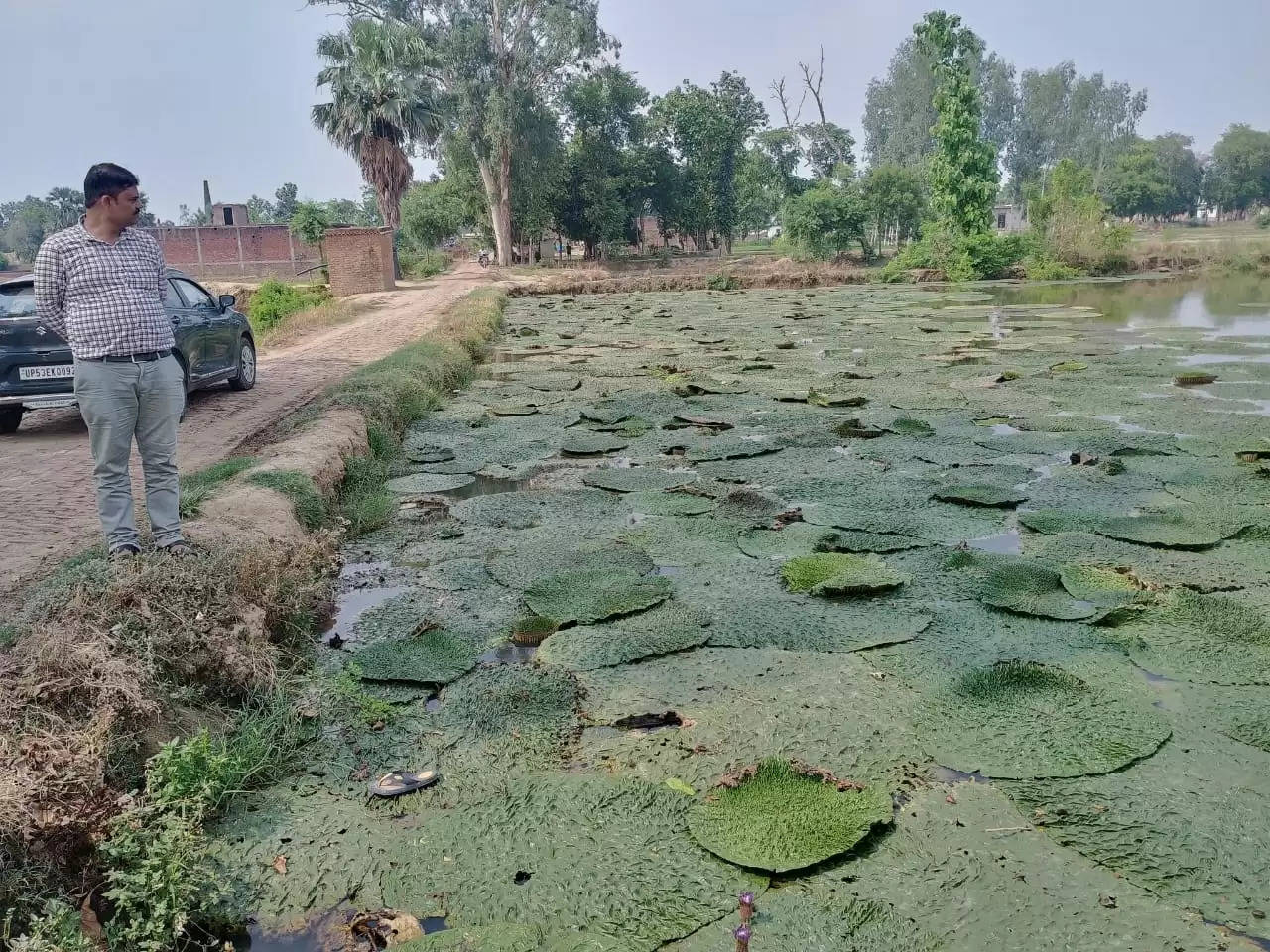 मखाना की खेती को प्रोत्साहित कर किसानों का खजाना बढ़ाएगी योगी सरकार