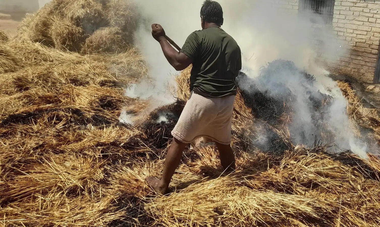 शॉर्ट सर्किट से गेहूं की फसल में आग, दो बीघा जलकर राख
