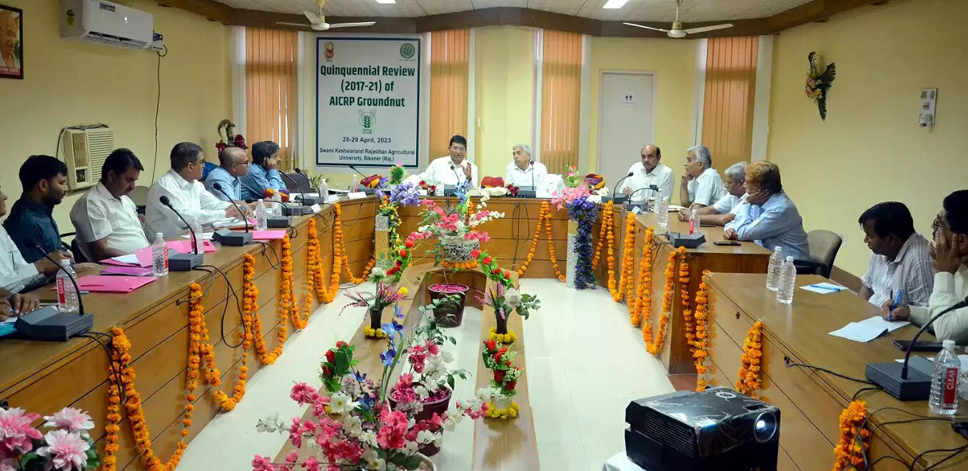 मूंगफली उत्पादन में राजस्थान का देश में दूसरा स्थान : डॉ के के पाल