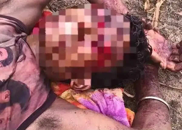 बीजापुर में युवक पर वन्य प्राणी भालू ने किया हमला