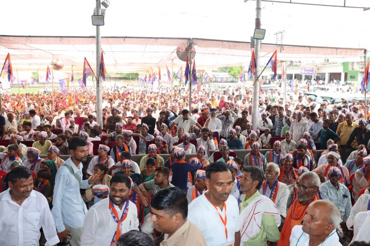 उप्र में आगामी सरकार के गठन में अपना दल कमेरावादी की होगी अहम भूमिका : कृष्णा पटेल