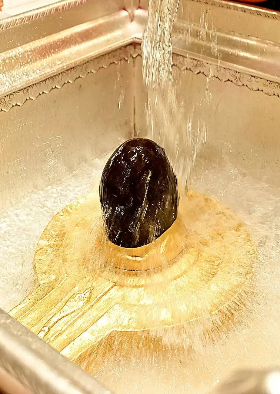 रंगभरी एकादशी पर काशी विश्वनाथ धाम के शिवार्चनम मंच पर होगी ‘फूलों की होली’