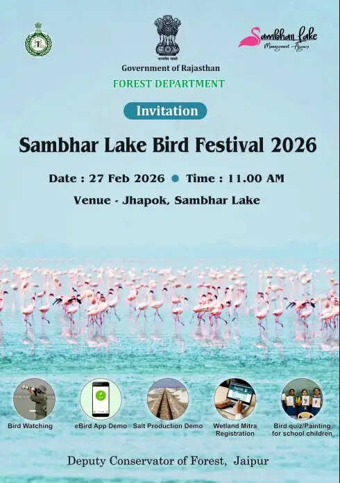सांभर झील में 27 को बर्ड फेस्टिवल, परिंदों का होगा दीदार