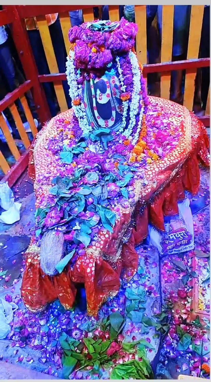 धाैलपुर में सावन के दूसरे सोमवार पर हुई पूजा अर्चना,शिव मंदिरों में रही श्रद्वालुओं की भीड