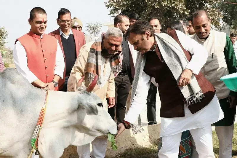 रीवाः उप मुख्यमंत्री शुक्ल ने बसामन मामा गौवंश वन विहार में ऋषि कुलम का किया भूमिपूजन