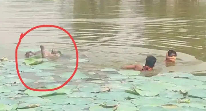 अनूपपुर: जैतहरी के बंजारी तालाब में मिला युवक का शव, पुलिस ने जताई हत्या की आशंका