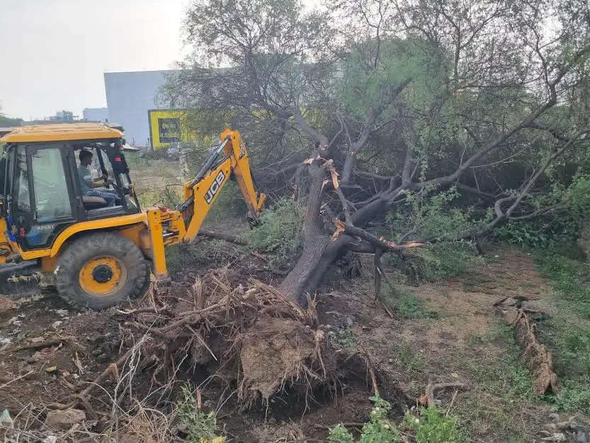 मंदसौर: नाहरगढ़ में 10 करोड़ की भूमि को कराया गया अतिक्रमण मुक्त